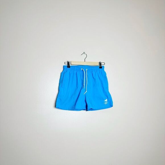 CLEARANCE! Men’s Blue CA-Rio-CA Swim Trunks EUC - Picture 1 of 4
